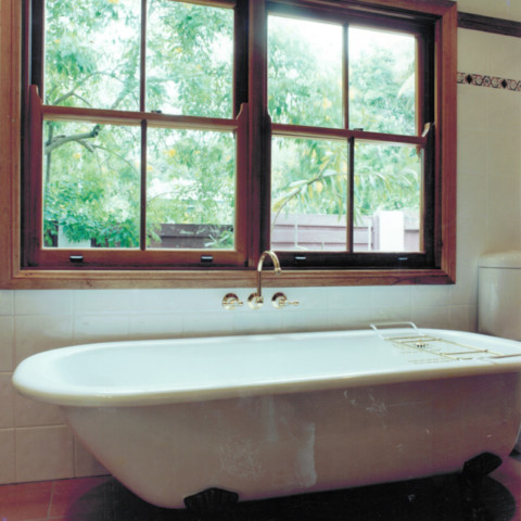 Bath and window